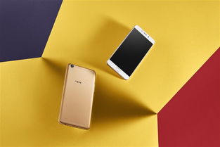 绝对大有来头 oppo r9 plus产品图赏