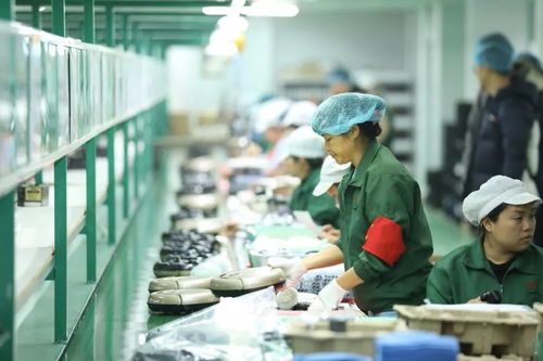 拼多多 新品牌计划 发力c2m 这是转型必由之路吗