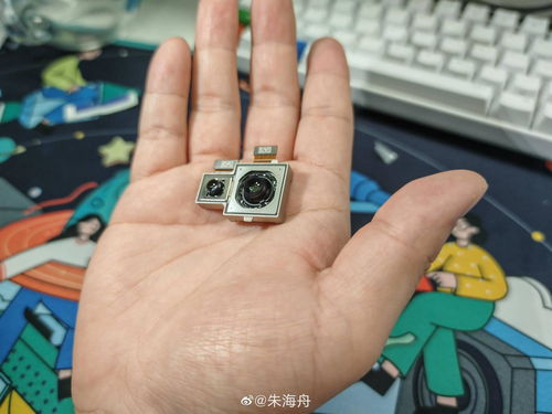 一加 苹果领衔 国庆节后的新品发布会你最看好谁